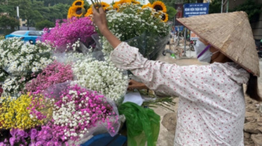 Roaming around Hanoi, carrying flowers selling tens of millions of dong every day on the occasion of October 20