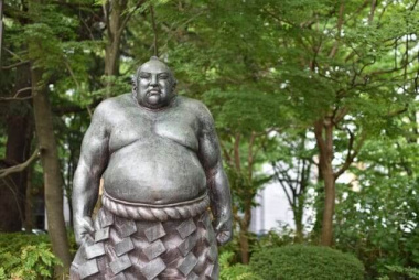 Đôi nét về Sumo – môn đấu vật truyền thống của Nhật Bản