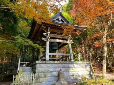 Thưởng thức tán lá mùa thu ở Hakone