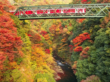 Những địa điểm ngắm lá đỏ Nhật Bản tháng 11
