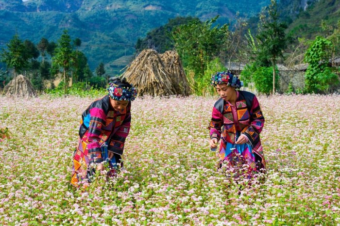 du lịch cao nguyên đá ở hà giang ngắm trọn vẻ đẹp tiềm ẩn miền sơn cước