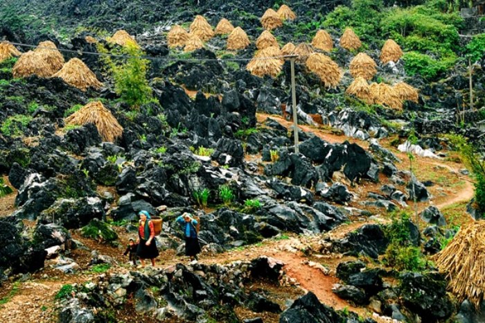 du lịch cao nguyên đá ở hà giang ngắm trọn vẻ đẹp tiềm ẩn miền sơn cước