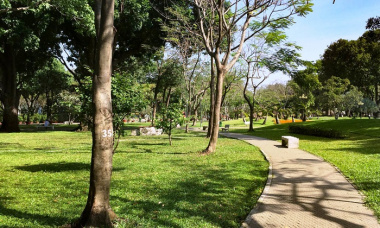 Công viên Phú Lâm Quận 6: tận hưởng không gian xanh trong lành ở Sài Gòn