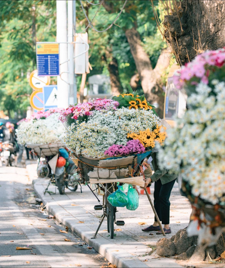 khám phá, trải nghiệm, những gánh hoa chở cả mùa thu hà nội