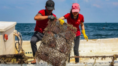 Watch with your own eyes Phu Quoc fishermen exploit billions of dollars worth of pearls under the sea