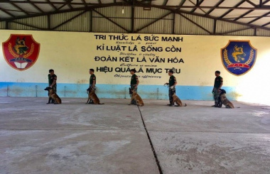 Top 6 dịch vụ huấn luyện chó tại nhà Hà Nội uy tín bạn nên biết