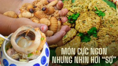 Startled by the horror but delicious dishes of Vietnam