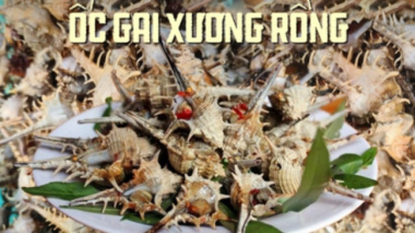 The famous snail of Phu Quoc is priced at 270,000 VND/kg