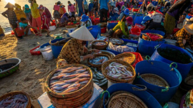 The idyllic beauty in the early morning at the largest fish market in Quang Nam