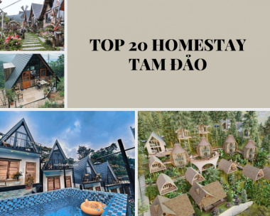 Top 20 homestay Tam Đảo đẹp giá rẻ view đồi núi cực chill