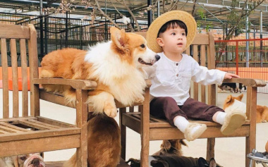 Nông trại cún Puppy Farm – Thế giới cún siêu dễ thương Đà Lạt (2022)