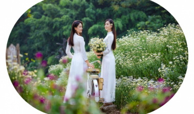 Ha Thanh girls gracefully show off their colors with daisies at the beginning of the season