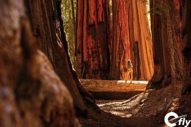 hé lộ top 8 công viên quốc gia hàng đầu ở california