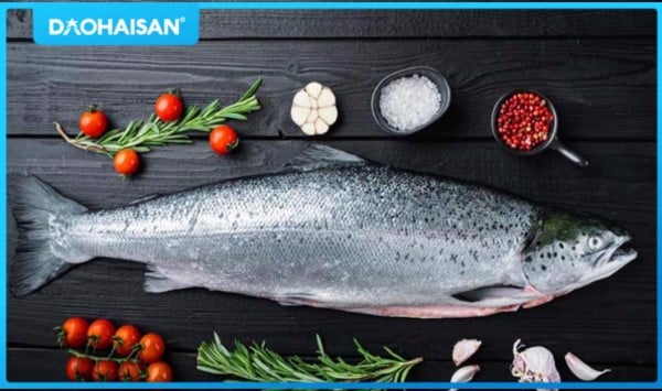 ẩm thực, món ngon, quy trình chế biến, giữ lạnh khép kín để sashimi cá hồi tươi ngon