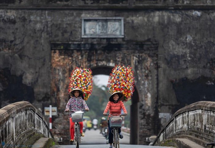 Nét đẹp làng hoa giấy Thanh Tiên xứ Huế với hơn hơn 300 năm lịch ...
