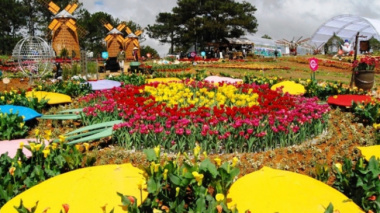 More than 400,000 flower pots and flower bags for Dalat Flower Festival – 2022
