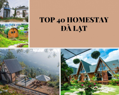 Top 40 homestay Đà Lạt đẹp view rừng thông lãng mạn