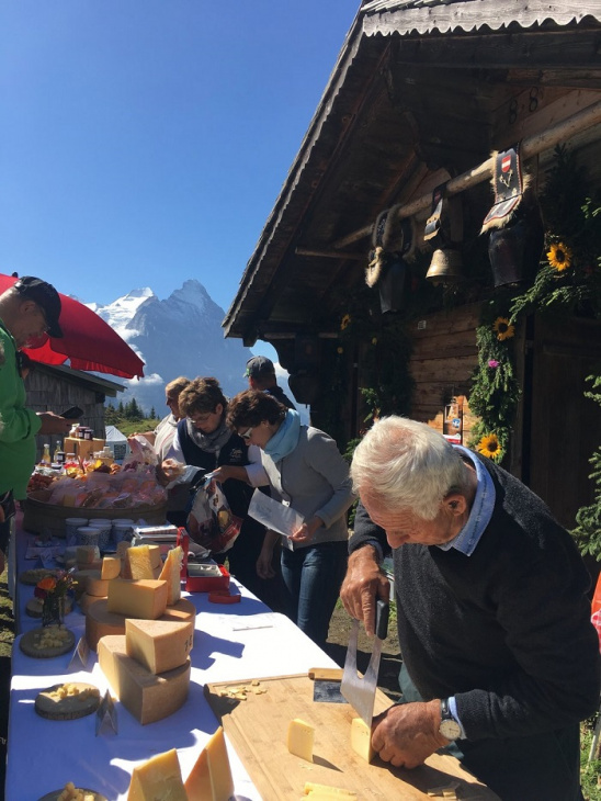 phô mai thụy sĩ, khám phá, trải nghiệm, những điều thú vị về phô mai thụy sĩ - món ăn đặc sản vùng núi alps