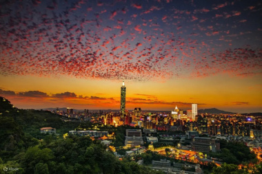 Tất Tần Tật Về Taipei 101, Niềm Tự Hào Của Đài Loan