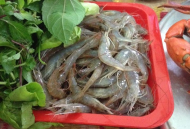 Chả tôm Quảng Yên – món quà ẩm thực đãi khách vùng quê Bạch Đằng