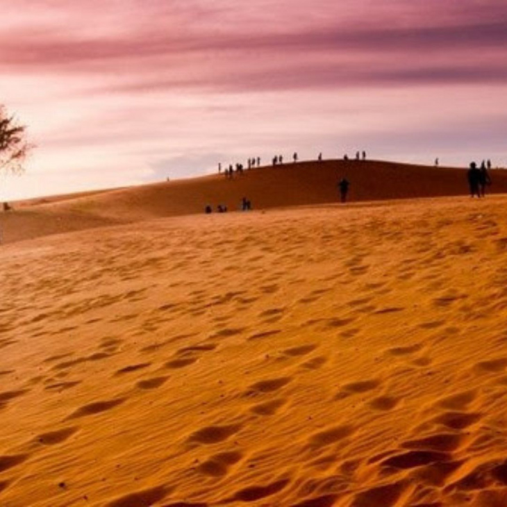 homestay, nhà đẹp, review đồi cát vàng mũi né – sa mạc huyền bí ở phan thiết