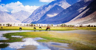 Ladakh ở đâu của Ấn Độ và có gì thú vị để khám phá?