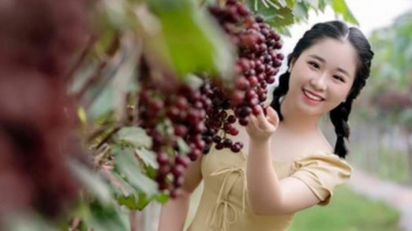 Overwhelmed by the fruit-laden vineyards attracting a large number of visitors in Ninh Binh