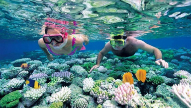 Lặn ngắm san hô Phú Quốc – Trải nghiệm thú vị nên thử