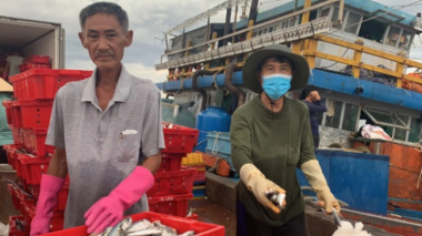 The sea trip is only once every 10 years, and fishermen “save” 2.5 billion VND