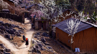Ha Giang is in the most beautiful season, visit the beautiful and peaceful ancient villages