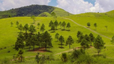 Immerse yourself in the “spotless” green steppe in Bac Kan
