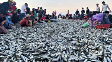 Fishermen teamed up to go backward to pull a record catch of 4 tons of fish