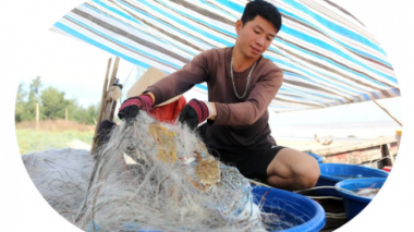Hand-picked high-class specialties, fishermen make thousands of dollars every day