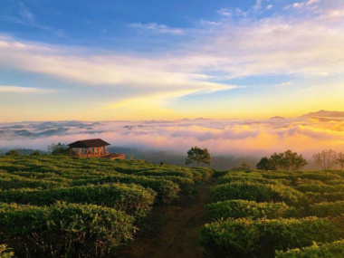 Top 7 địa điểm săn mây Đà Lạt cực đẹp khiến du khách mê mẩn