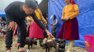 Dog market is only open on Sundays in Ha Giang