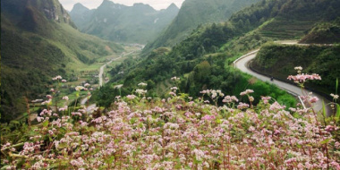 Dốc Chín Khoanh Hà Giang – Con đường đẹp nhất Đông Nam Á