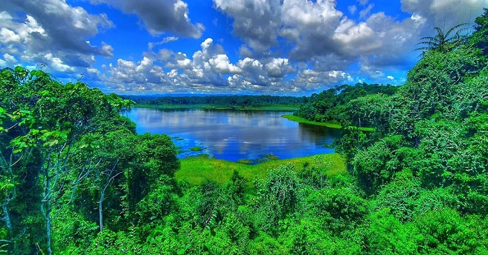 công viên di sản tasek merimbun, khám phá, trải nghiệm, công viên di sản tasek merimbun: khu bảo tồn động vật hoang dã lớn nhất của brunei