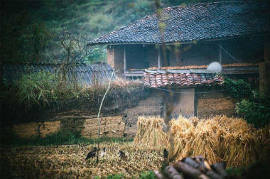 Bản Lô Lô Chải, thanh âm trong trẻo giữa đất trời Hà Giang