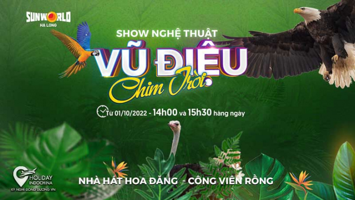 show “vũ điệu chim trời” – điểm nhấn mới cho du lịch hạ long