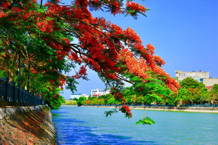 du lịch tết, hồ tam bạc, làng hoa tết, hồ tam bạc – biểu tượng thơ mộng của “thành phố hoa phượng đỏ”