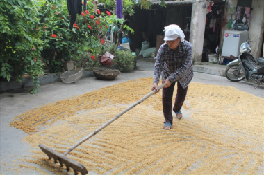 Dẻo thơm cốm truyền thống ở làng cốm Nông Xá Hải Phòng