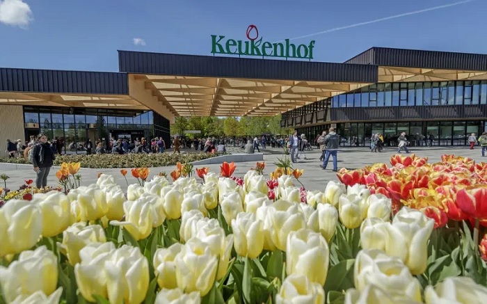 vườn keukenhof, khám phá, trải nghiệm, đủ sắc màu tại vườn keukenhof - vườn hoa lớn nhất thế giới ở hà lan