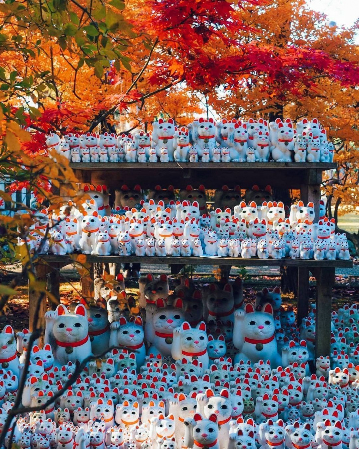 ngôi đền gotokuji, nhật bản, tour nhật bản, tour nhat ban gia re, ngôi đền gotokuji có hàng nghìn tượng mèo vẫy tay ở nhật bản