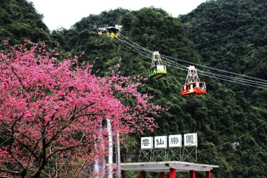 Chiêm ngưỡng hoa anh đào “đẹp đến nao lòng” vào mùa xuân ở top điểm đến nổi tiếng Đài Loan