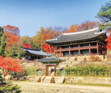 “Lịm tim” trước sắc thu tại cung điện ở Hàn Quốc đẹp đến mê hồn