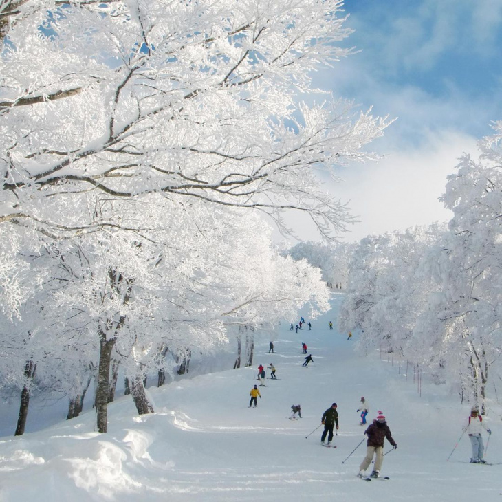 đặt phòng, khách sạn ở hokkaido, khách sạn ở tokyo, hòa mình vào tuyết trắng với 4 thiên đường trượt tuyết ở nhật bản mùa đông này
