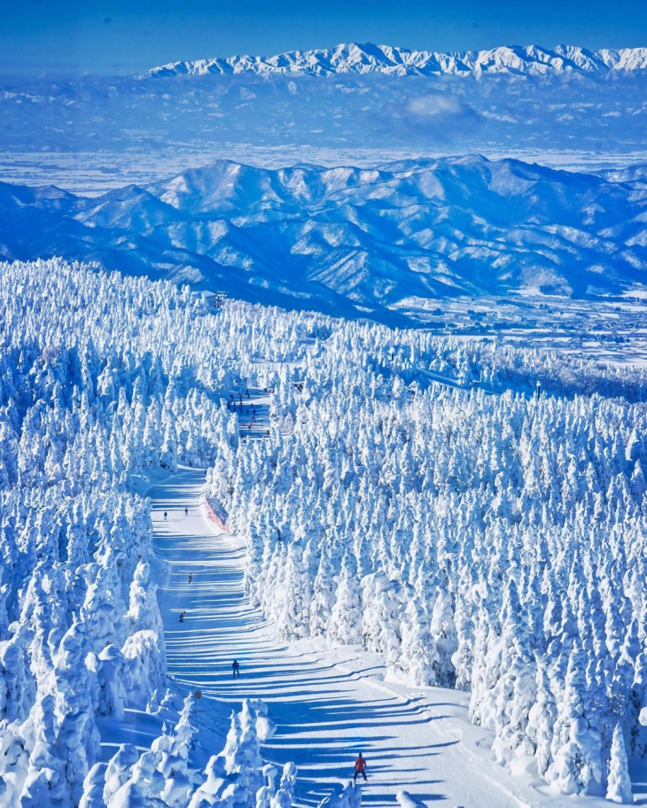 đặt phòng, khách sạn ở hokkaido, khách sạn ở tokyo, hòa mình vào tuyết trắng với 4 thiên đường trượt tuyết ở nhật bản mùa đông này