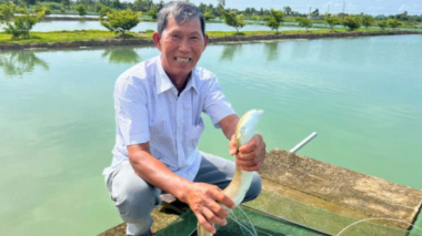 Ca Mau farmer decided to raise “strange” fish and suddenly became a billionaire