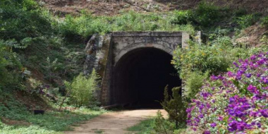 Đường hầm Hỏa Xa Đà Lạt – Không gian huyền ảo giữa thành phố ngàn hoa