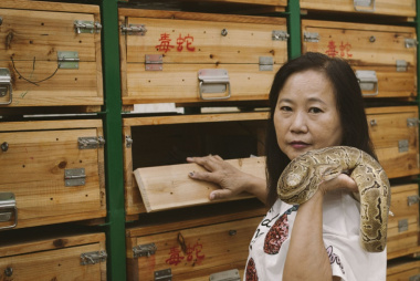 Súp rắn Trung Quốc khiến du khách toát mồ hôi vì sợ